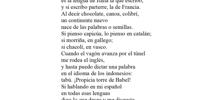 N.º 5E «Cuando digo ojalá» de César Ibáñez París