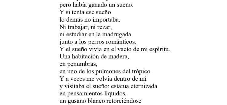 N.º 9E «Los perros románticos» de Roberto Bolaño