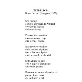 N.º 14A «Estrelicia» de Diana Burzuri