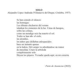 N.º 14F «Solo» de Alejandro López Andrada