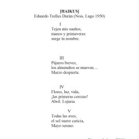 N.º 17C «Haikus» de Eduardo Trelles Durán
