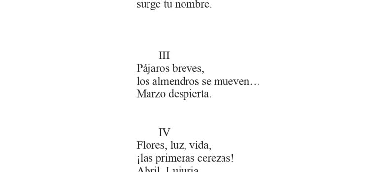 N.º 17C «Haikus» de Eduardo Trelles Durán
