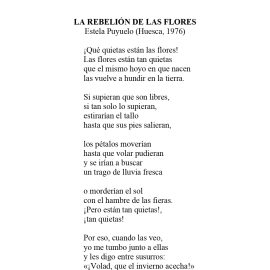N.º 18B «La rebelión de las flores» de Estela Puyuelo