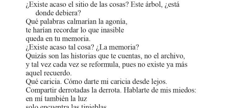 N.º 6G «XXIII. La cuidadora» de María Paz Otero