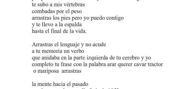 N .º 1E «Anquises» de Olga Novo