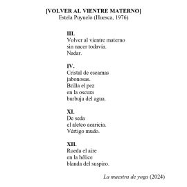 N.º 4E «Micropoemas» de Estela Puyuelo