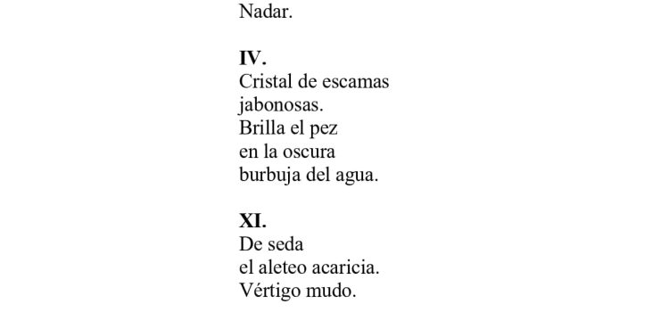 N.º 4E «Micropoemas» de Estela Puyuelo